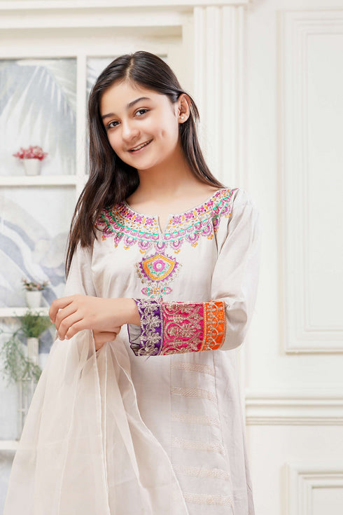 Lush Embroidered Cotton 3 Piece Suit L-133