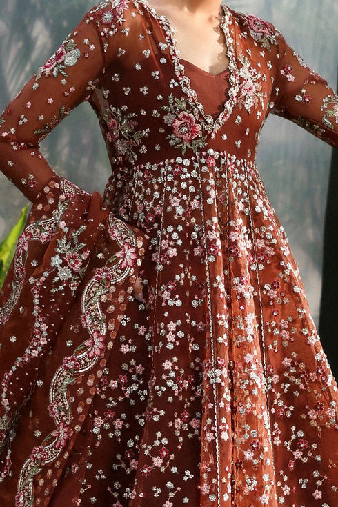 Afrozeh Embroidered Organza Suit Shale