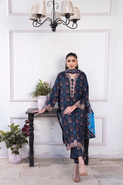 Raniya Embroidered Dhanak 3 Piece Suit RH-03