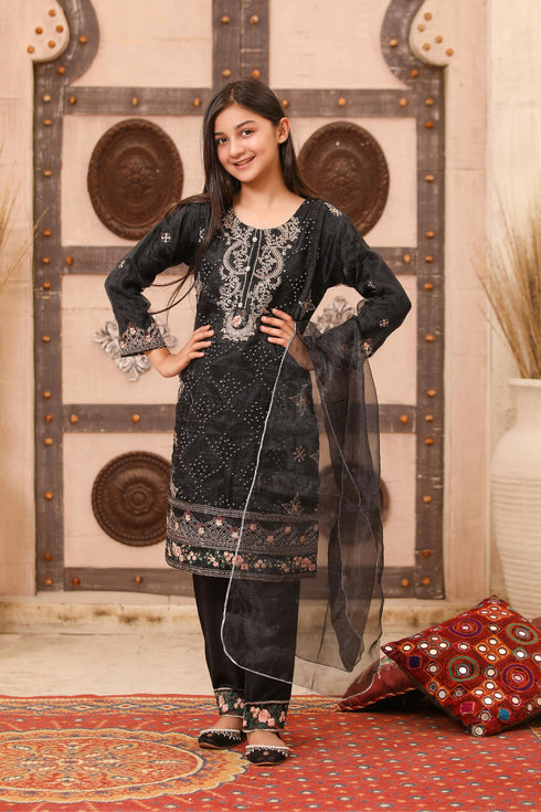 UB Fashion Embroidered Organza 3 Piece Suit UB-106K