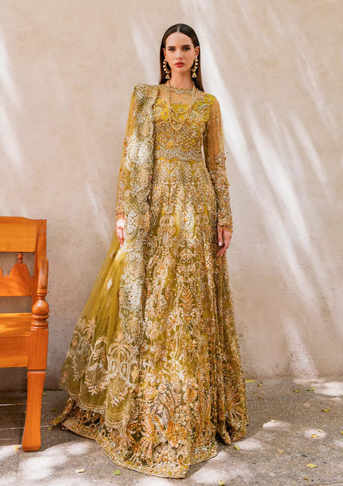 Elaf Embroidered Net 3 Piece EEB-05 HENNA
