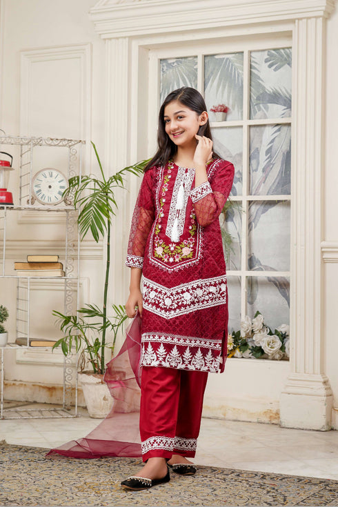 Lush Me & Mummy Embroidered Organza 3 Piece Suit L-135