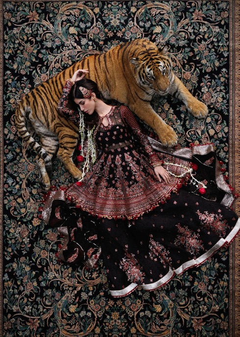 Hussain Rehar Embroidered Chiffon Suit Siyara