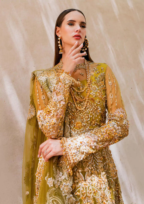 Elaf Embroidered Net 3 Piece EEB-05 HENNA