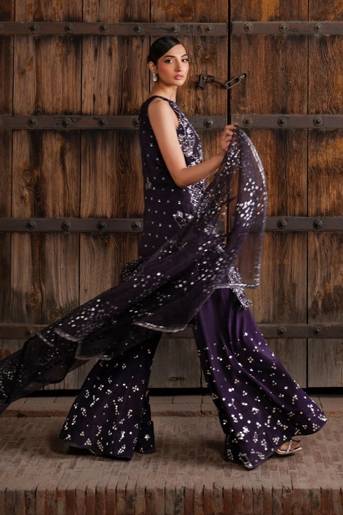 Iznik Embroidered Organza 3 Piece Suit ILC-06