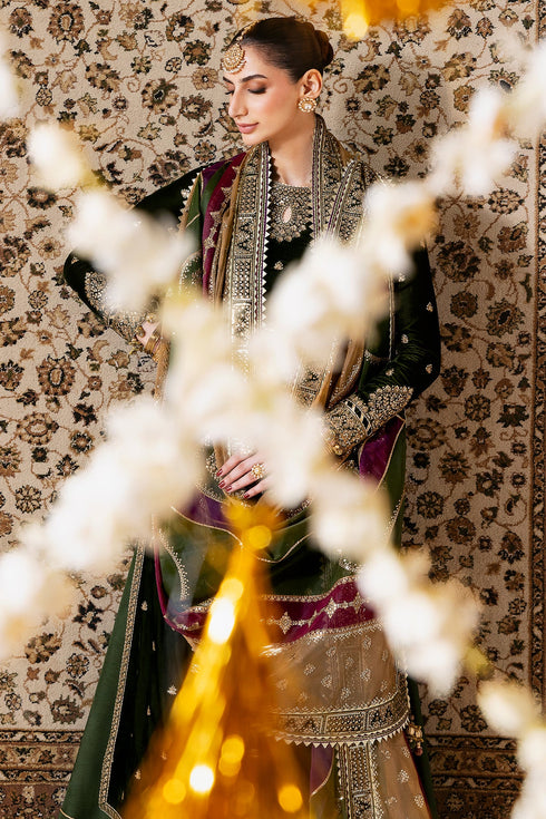 jazmin Embroidered Velvet Suit CVF D-09