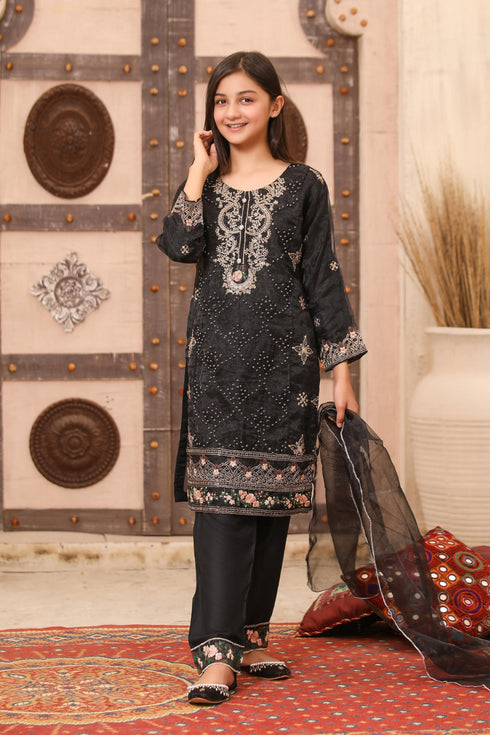 UB Fashion Embroidered Organza 3 Piece Suit UB-106K