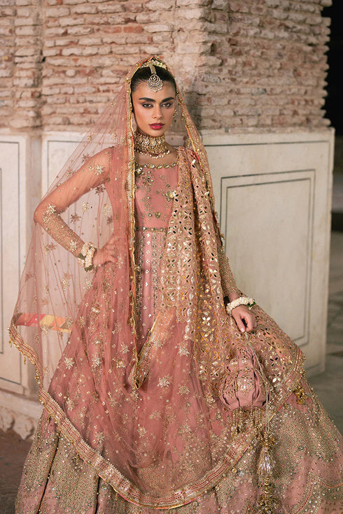 Mohsin Naveed Ranjha Embroidered Net Suit Khushboo