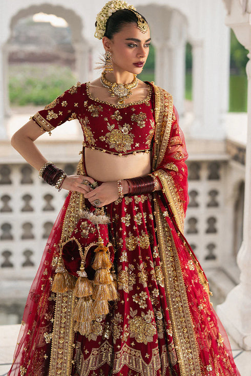 Mohsin Naveed Ranjha Embroidered Net Suit Bia Jaan