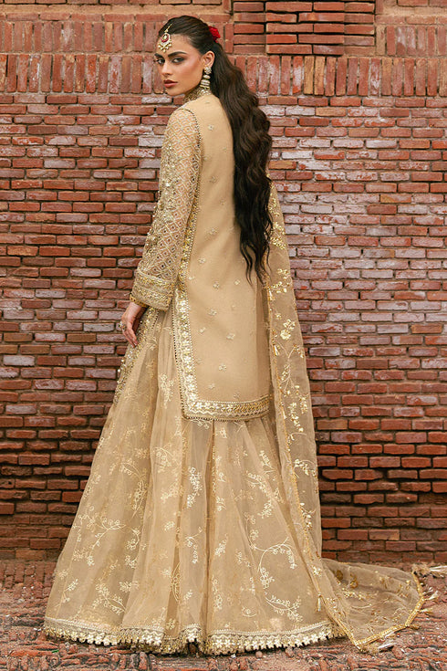 Mohsin Naveed Ranjha Embroidered Organza Suit Roshni