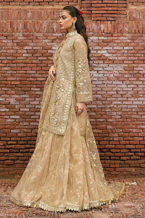 Mohsin Naveed Ranjha Embroidered Organza Suit Roshni