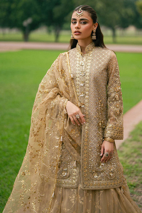 Mohsin Naveed Ranjha Embroidered Organza Suit Roshni