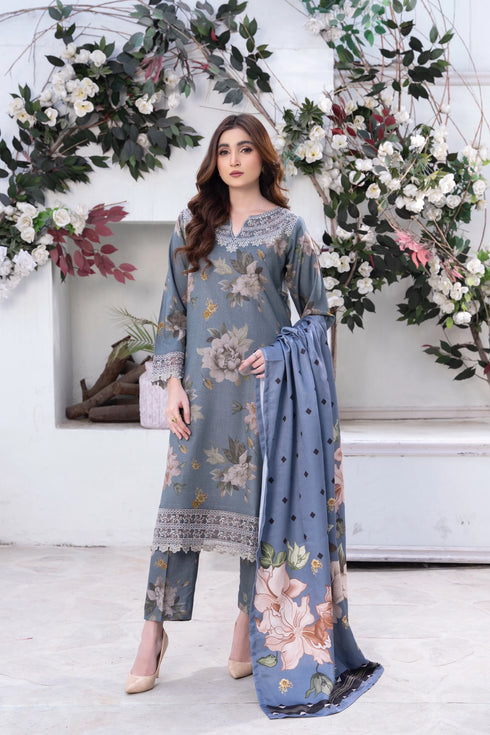 Raniya Embroidered Dhanak 3 Piece Suit RH-06