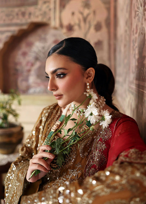 Gulaal Embroidered Sequined Chiffon Suit Dinara