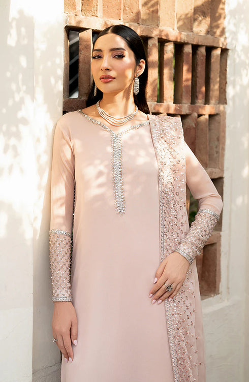 Zarif Embroidered Net Suit HW-02 LUNA