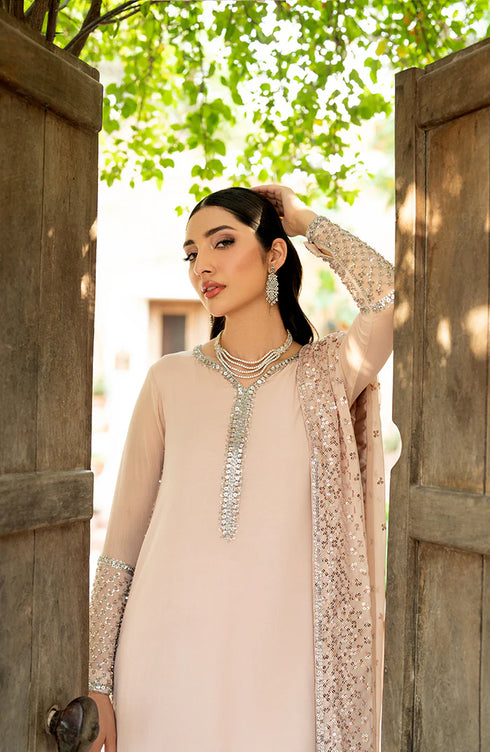 Zarif Embroidered Net Suit HW-02 LUNA