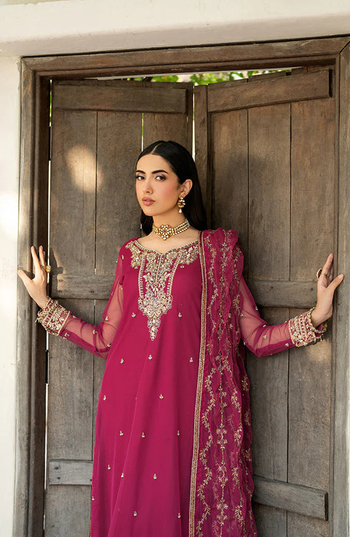 Zarif Embroidered Net Suit HW-01 REMI