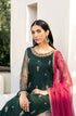 Zarif Embroidered Net Suit HW-03 RAYA