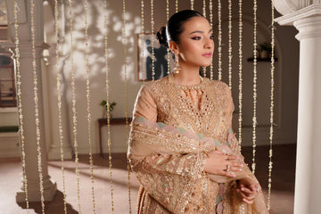 Maryams Embroidered Organza Suit Jahanara-ZEE-1916