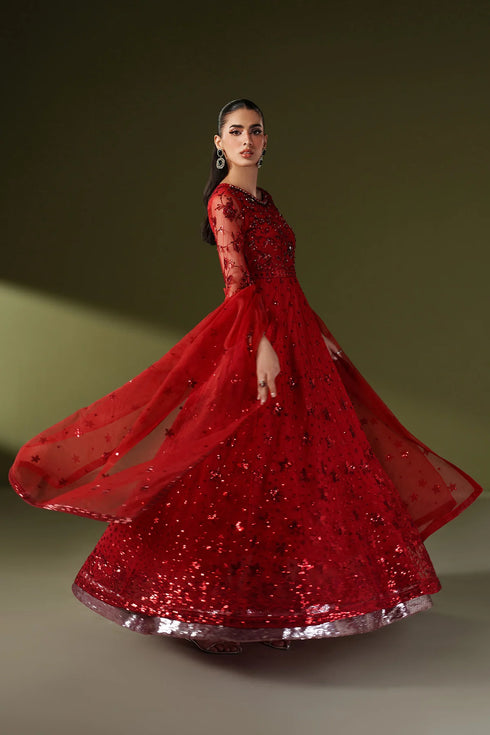 Alizeh Embroidered Net Suit AF-NHM-4060-Suffuse