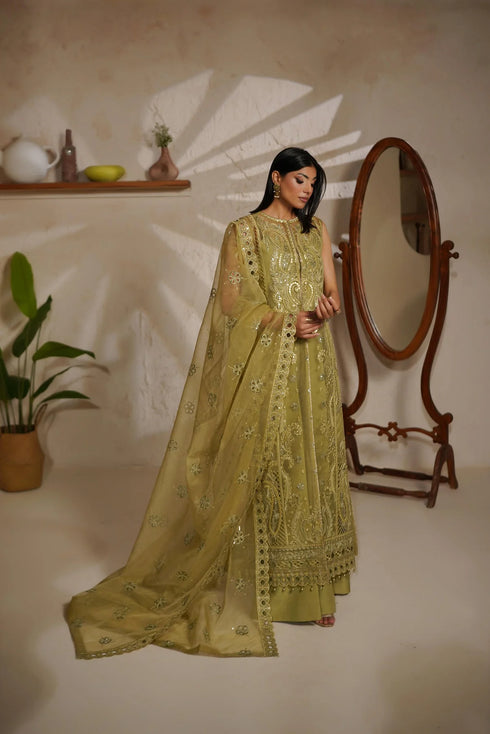 Maryams Embroidered Organza Suit M-1406