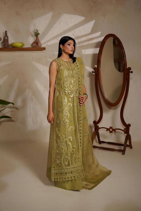 Maryams Embroidered Organza Suit M-1406