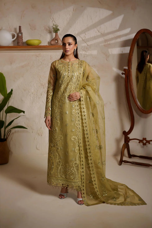 Maryams Embroidered Organza Suit M-1406