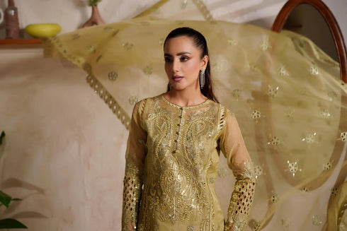 Maryams Embroidered Organza Suit M-1406