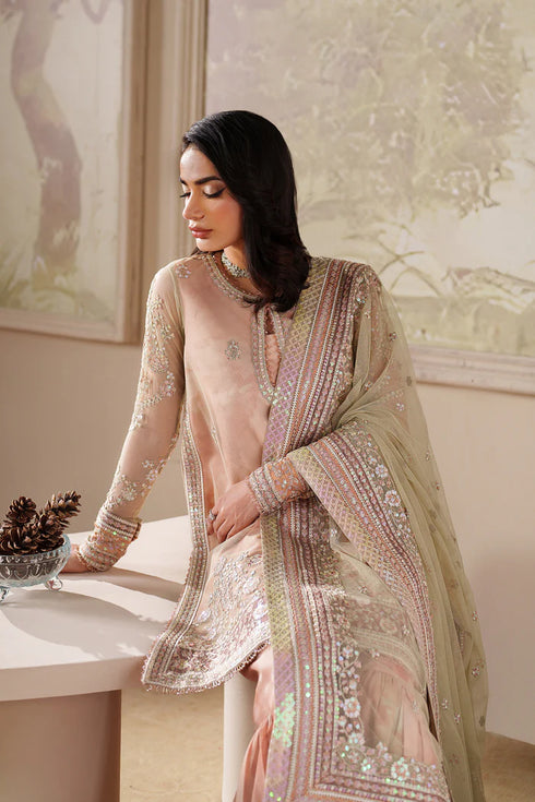 Zarif Embroidered Net Suit ZRF-ZPE-04 SERIYAH