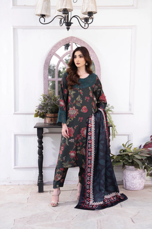 Raniya Embroidered Dhanak 3 Piece Suit RH-01
