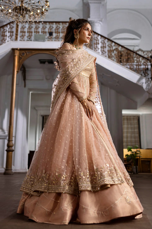 Erum Khan JAHAN IV- Pink Dust