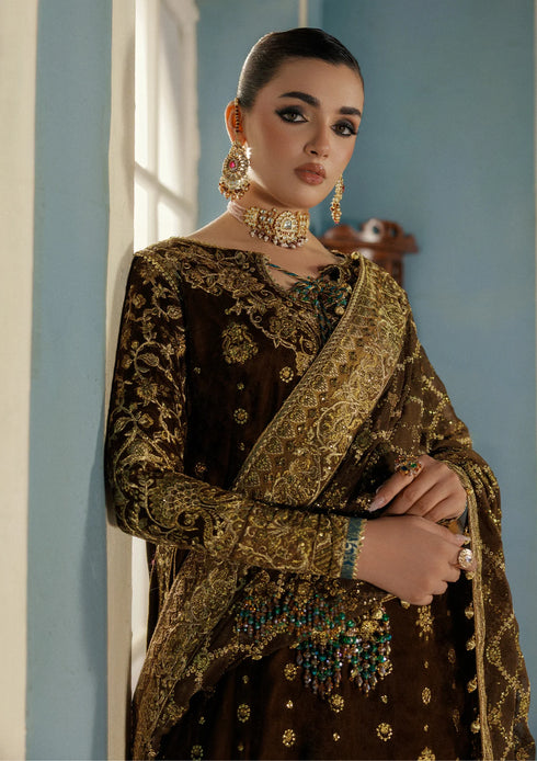 Aik Aitler Embroidered Velvet Suit UDAIPUR - LOOK 01