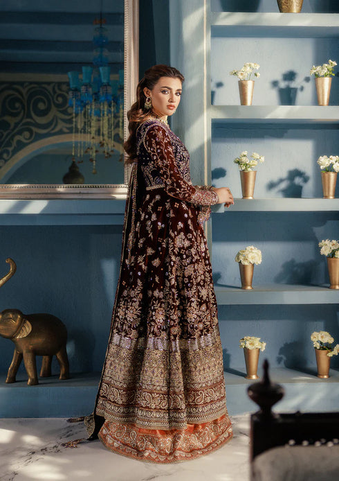 Aik Aitler Embroidered Velvet Suit UDAIPUR - LOOK 03