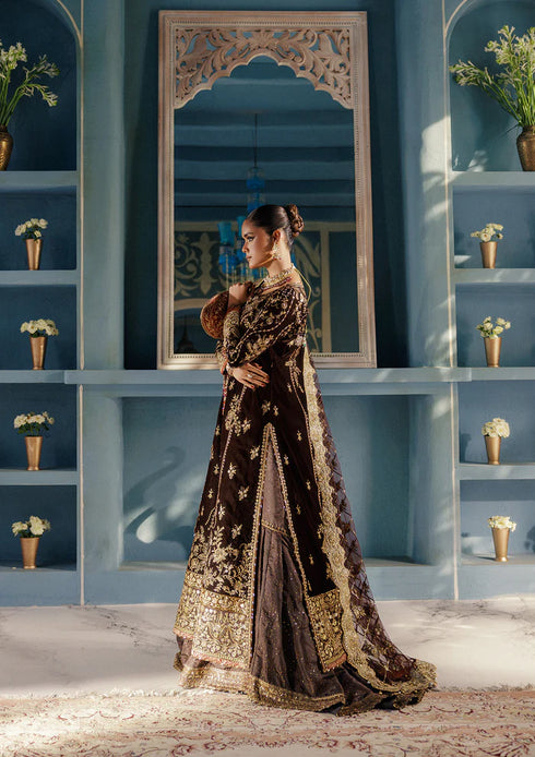 Aik Aitler Embroidered Velvet Suit UDAIPUR - LOOK 06