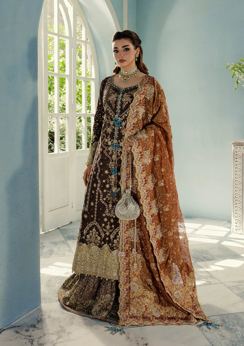 Aik Aitler Embroidered Velvet Suit UDAIPUR - LOOK 07