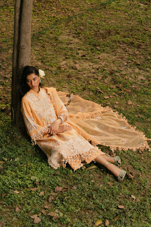 Sana Safinaz Embroidered Lawn Suit L251-008B-3CT