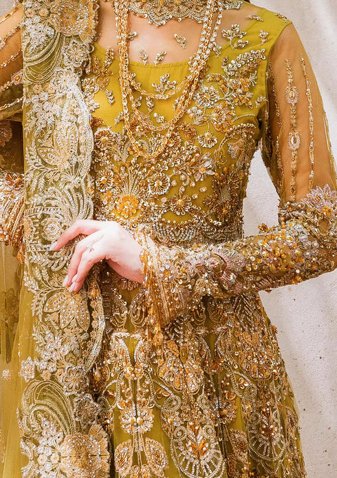 Elaf Embroidered Net 3 Piece EEB-05 HENNA
