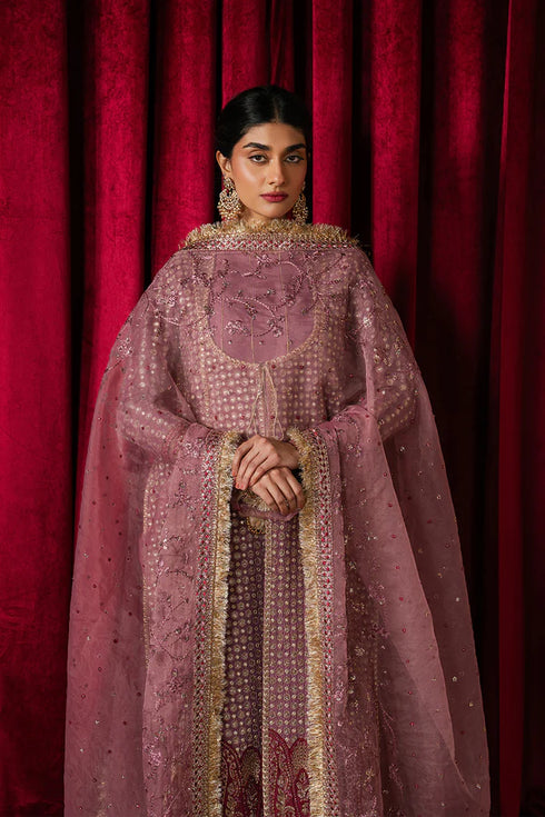 Ayzel Embroidered Organza Suit Humnishin