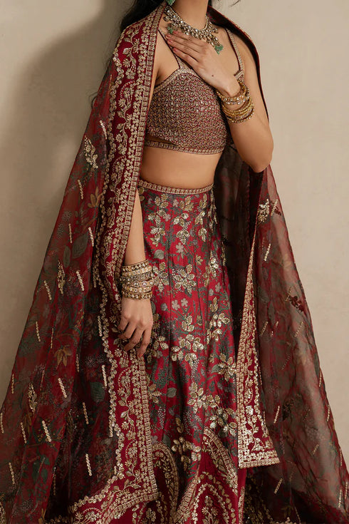 Ayzel Embroidered Organza Suit Taaruf