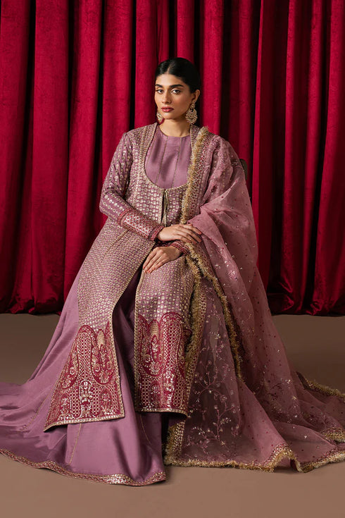 Ayzel Embroidered Organza Suit Humnishin