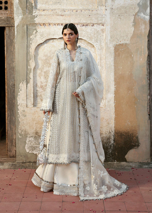 Hussain Rehar Embroidered Orgnaza Suit Sitara