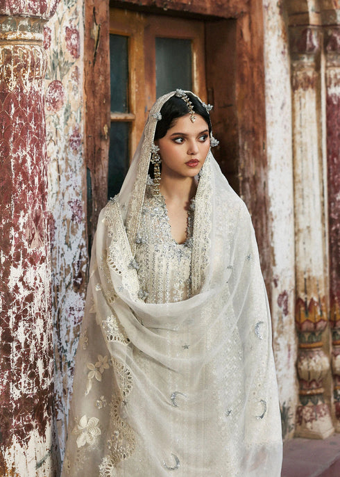Hussain Rehar Embroidered Orgnaza Suit Sitara