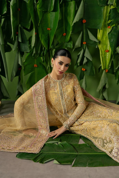 Ayzel Embroidered Organza Suit Chahat