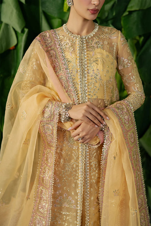 Ayzel Embroidered Organza Suit Chahat