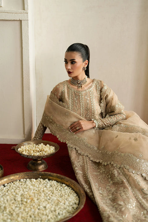 Ayzel Embroidered Organza Suit Mehekti