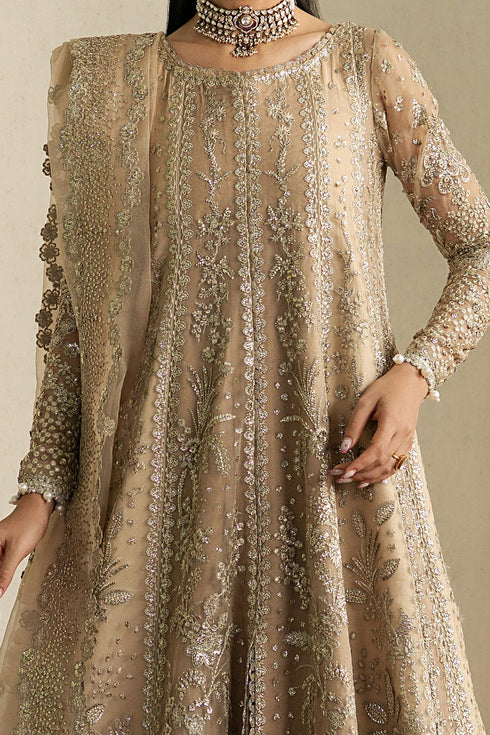 Ayzel Embroidered Organza Suit Mehekti
