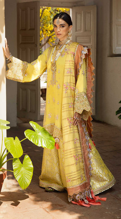Anaya Embroidered Chiffon 3 Piece suit ALARA