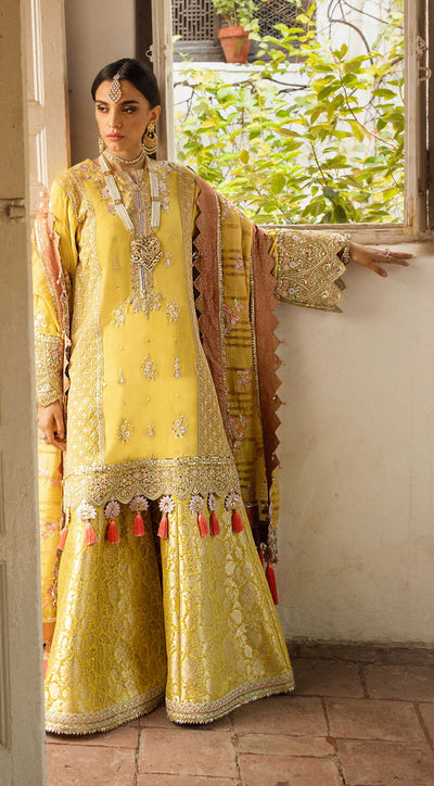 Anaya Embroidered Chiffon 3 Piece suit ALARA