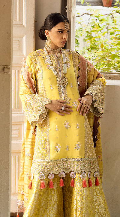 Anaya Embroidered Chiffon 3 Piece suit ALARA