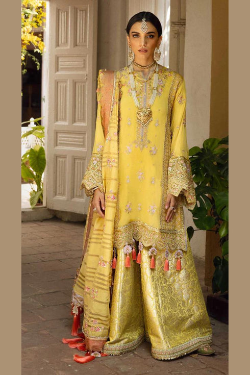 Anaya Embroidered Chiffon 3 Piece suit ALARA